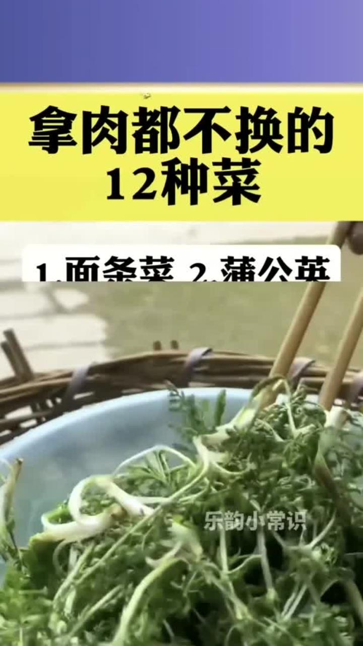 拿肉都不换的十二种菜