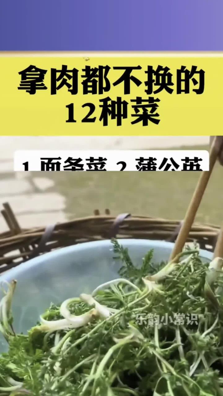 拿肉都不换的十二种菜