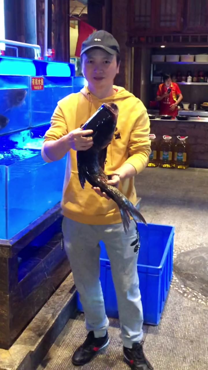 吊锅雄鱼，吊锅鱼酱用黄贡椒，小米辣，泡辣椒，剁椒，姜蒜，熬制