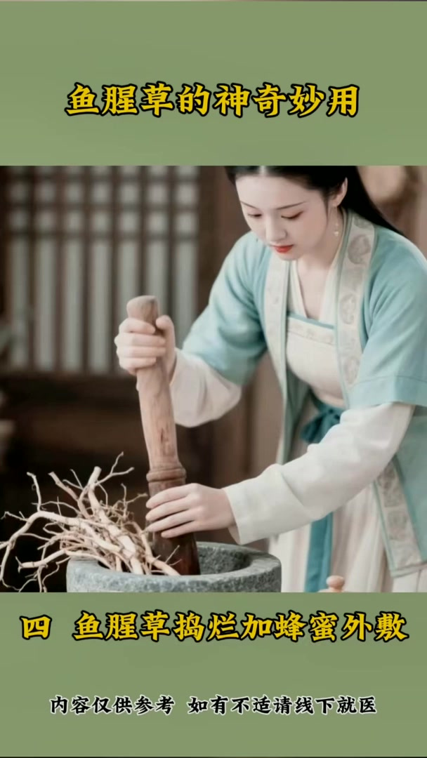鱼腥草的神奇妙用,养生好帮手