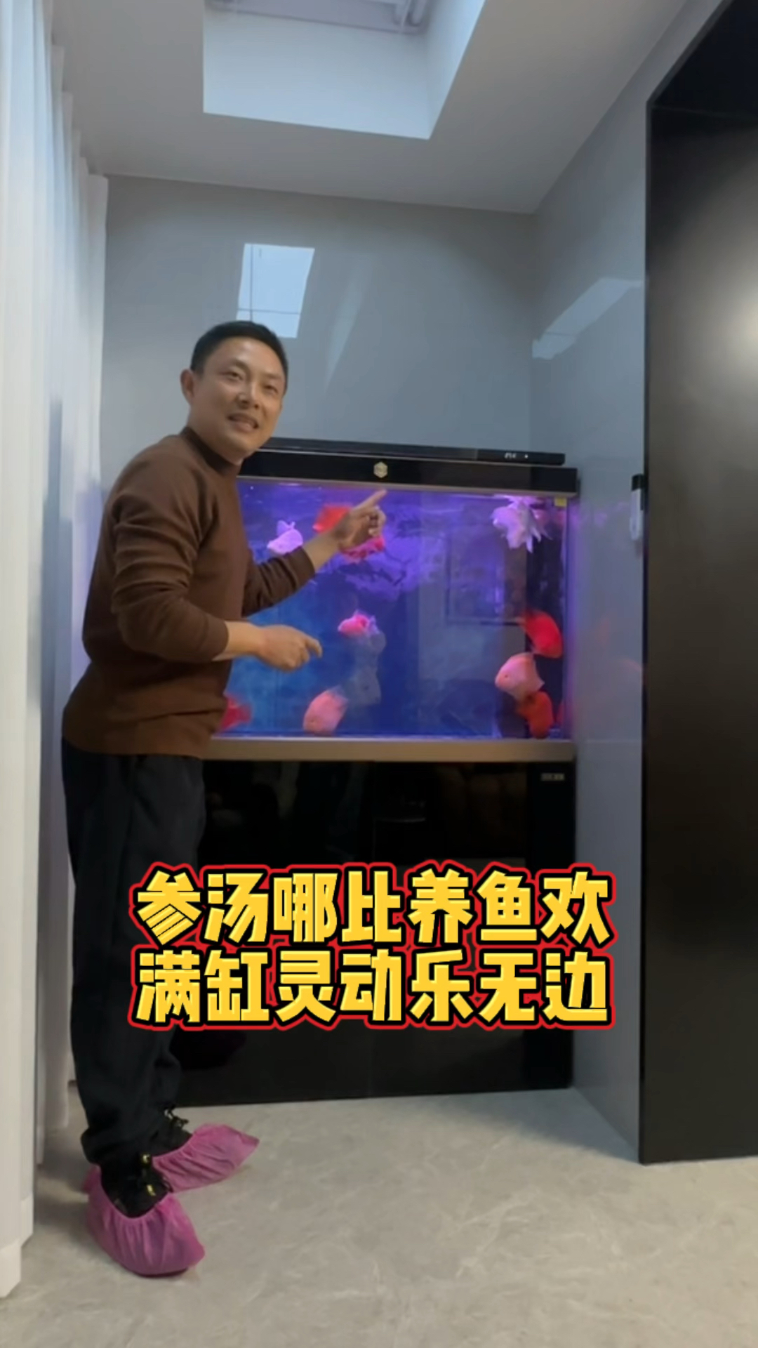 今天在鄞州区万科星旅光年小区安装森森鱼缸,鱼友说参汤哪比养鱼欢,满缸灵动乐无边