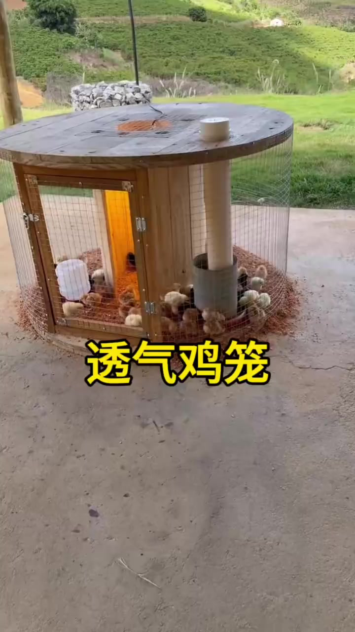 360度无遮挡温馨透气鸡笼