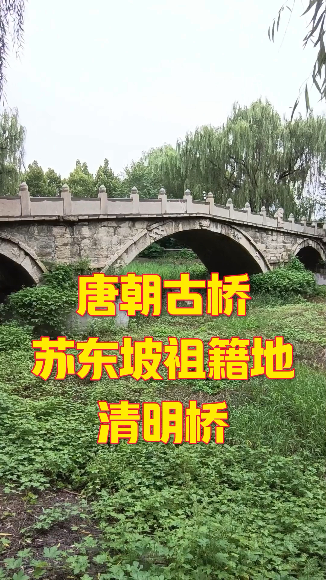 苏东坡走过的桥清明桥?