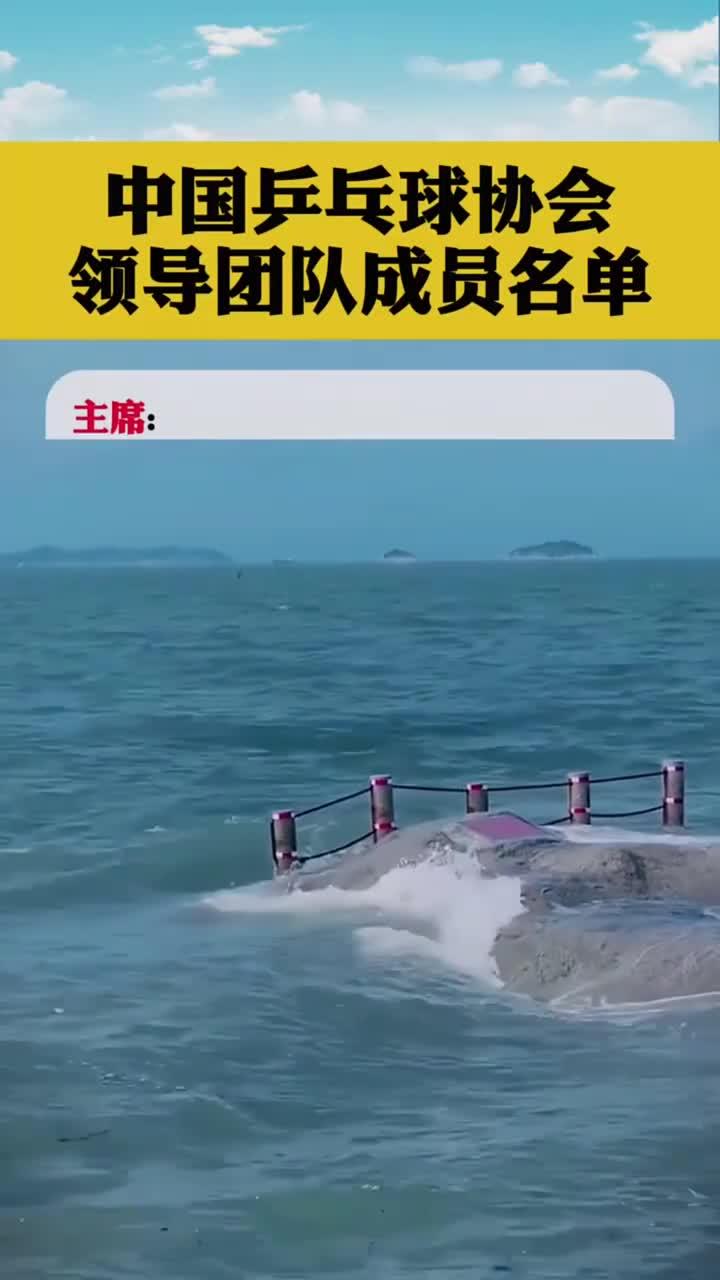 中国乒乓球协会领导团队成员名单