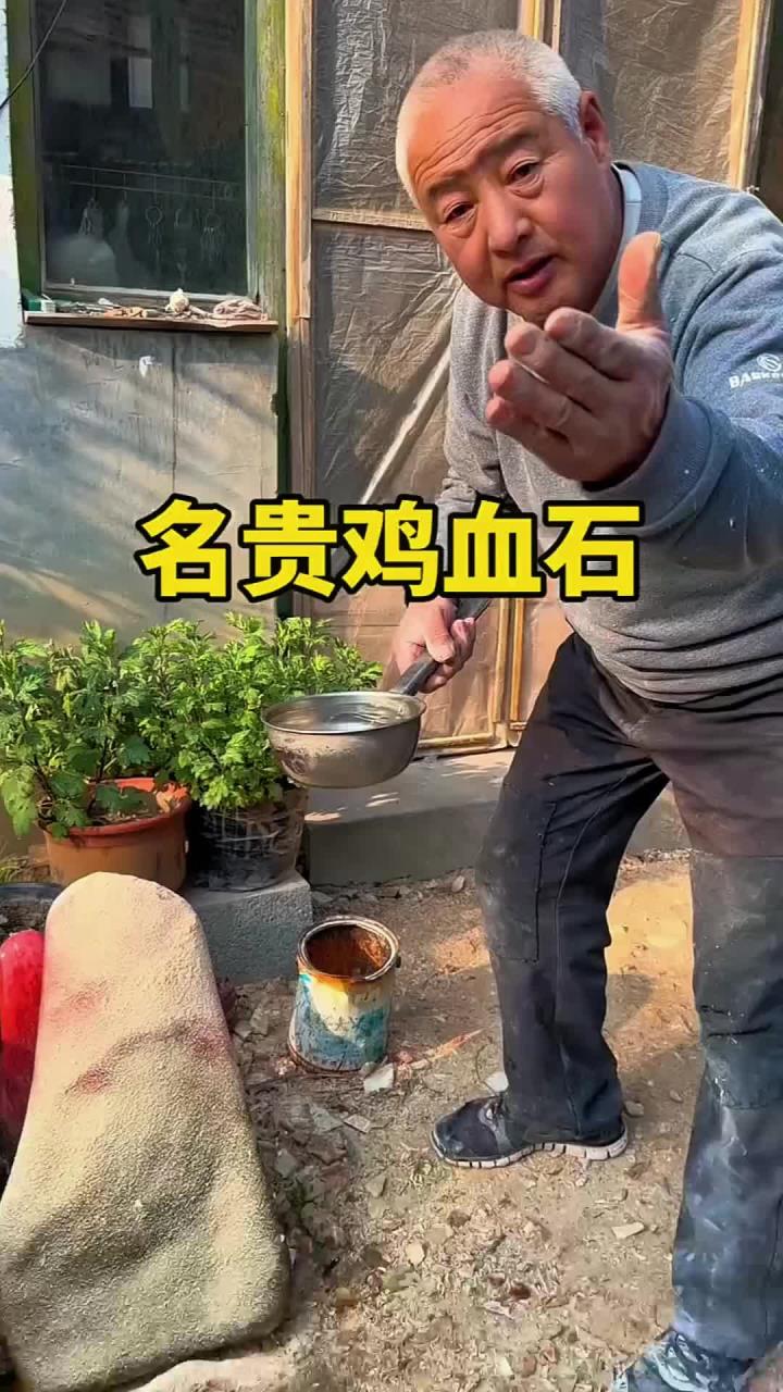 大爷放羊时捡到的名贵鸡血石