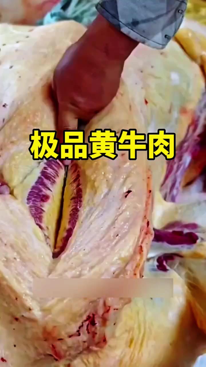 这样的极品黄牛肉可不好买