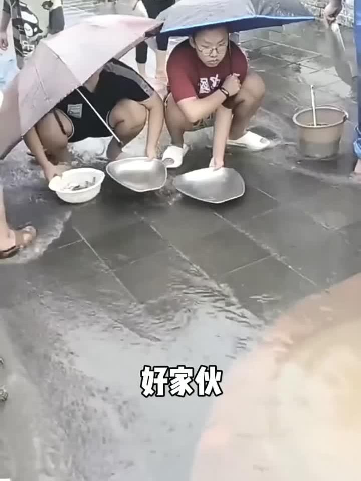 下水道里还有鱼啊!拿锅碗瓢盆在这等,这亩产多少斤鱼啊?