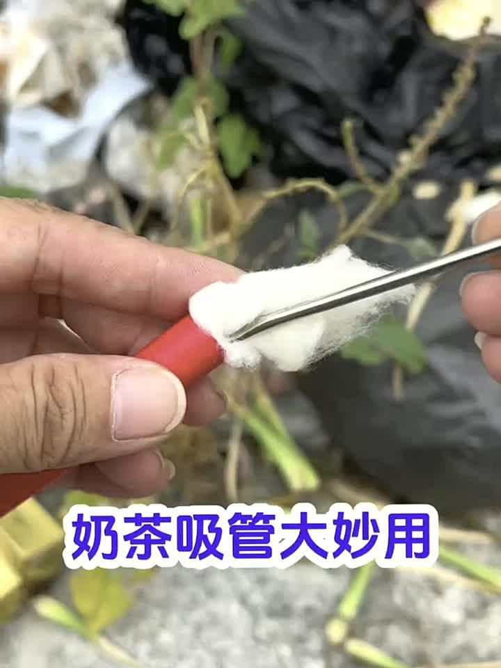 奶茶吸管大妙用