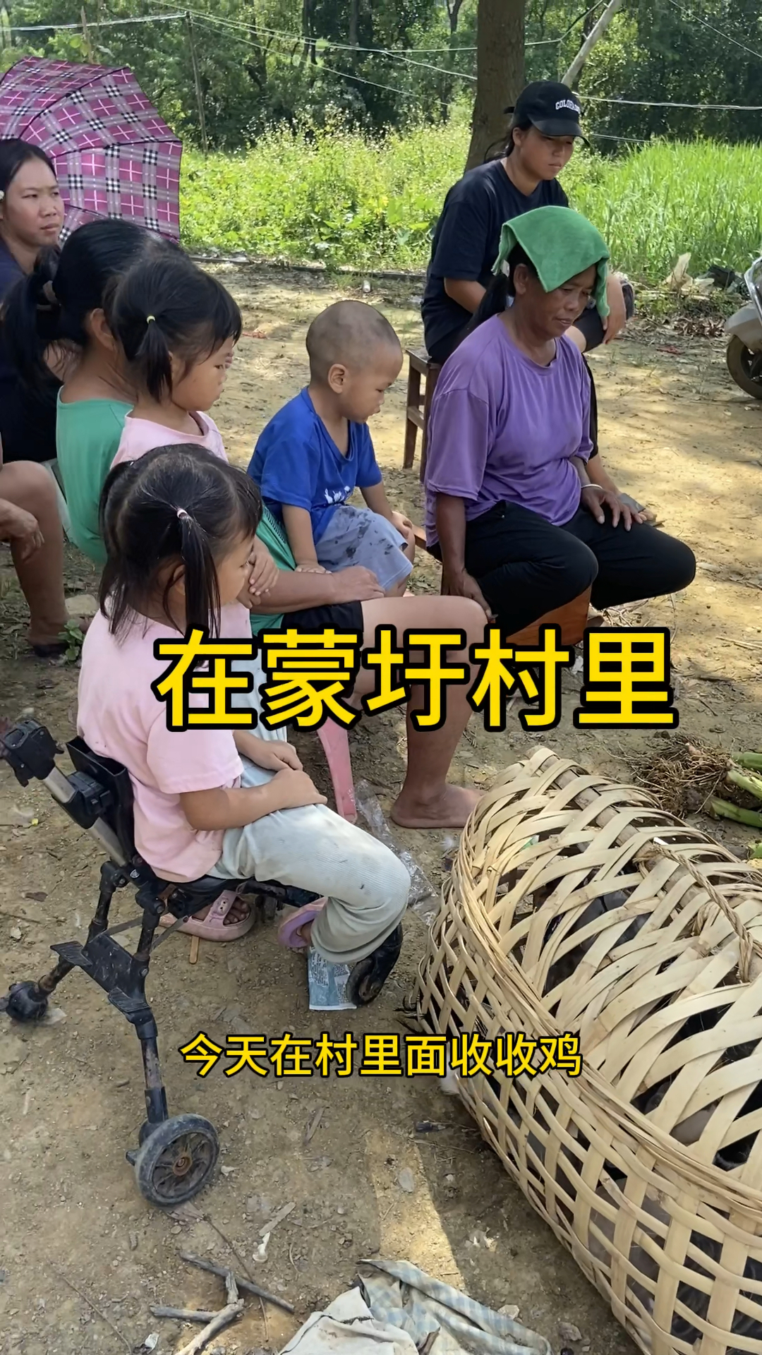 村里的土鸡鸭鹅都不肥,喂谷为主