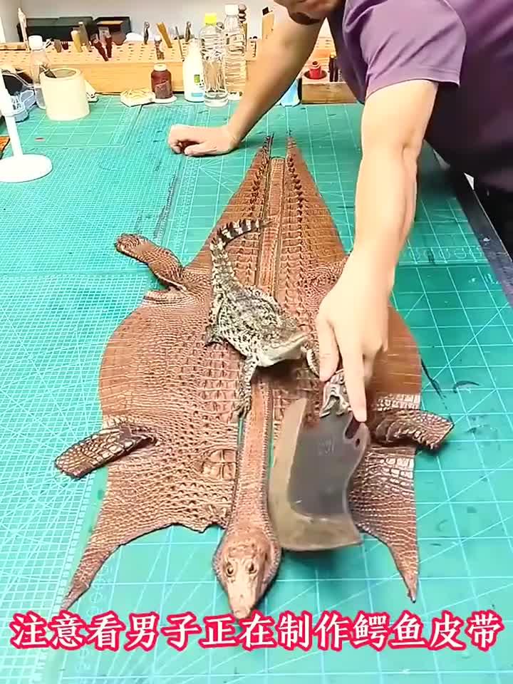 男子制作鳄鱼皮带