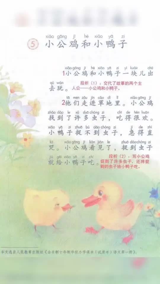 一年级下册《小公鸡和小鸭子》