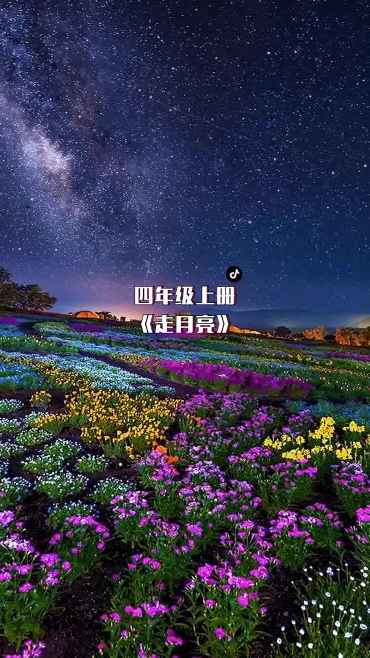 小学语文课本同步视频,四年级上册《走月亮》背诵片段