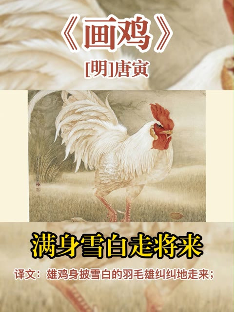 小学一年级下册第八单元,必背古诗词《画鸡》