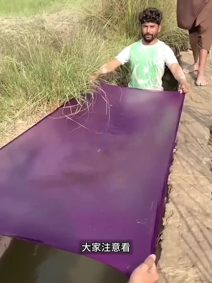 捞到的鱼该怎么分