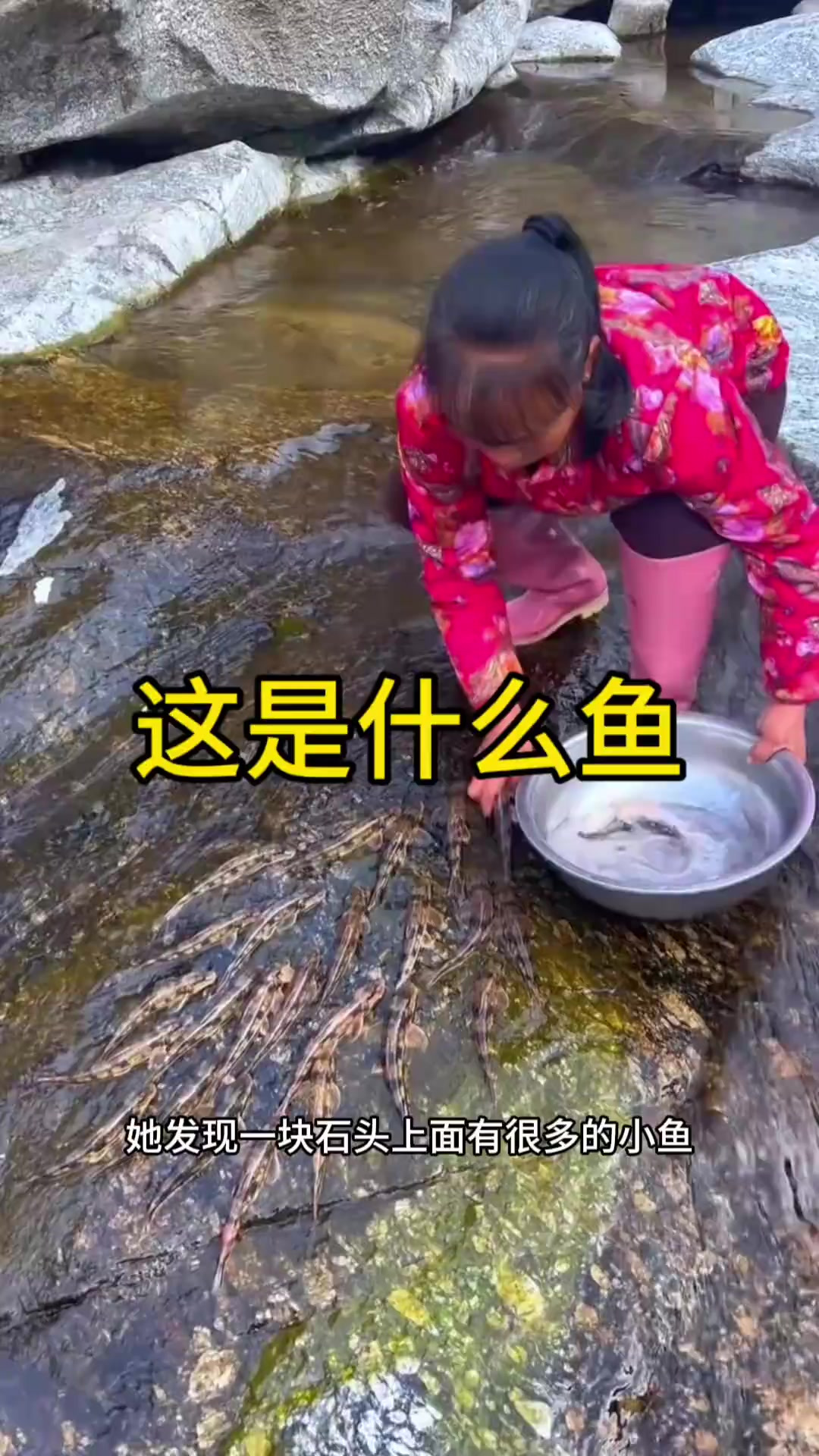 这是什么鱼,也不知道好不好吃啊