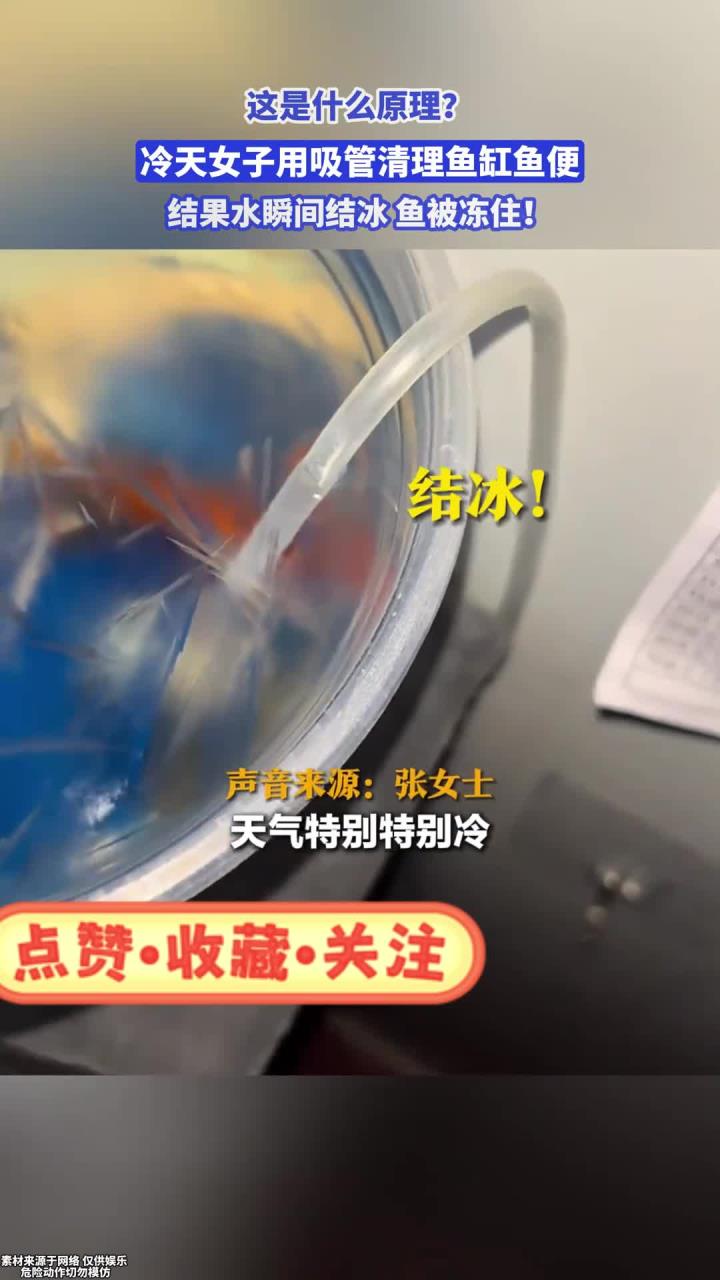 这是什么原理?冷天女子用吸管清理鱼缸鱼便,结果水瞬间结冰!