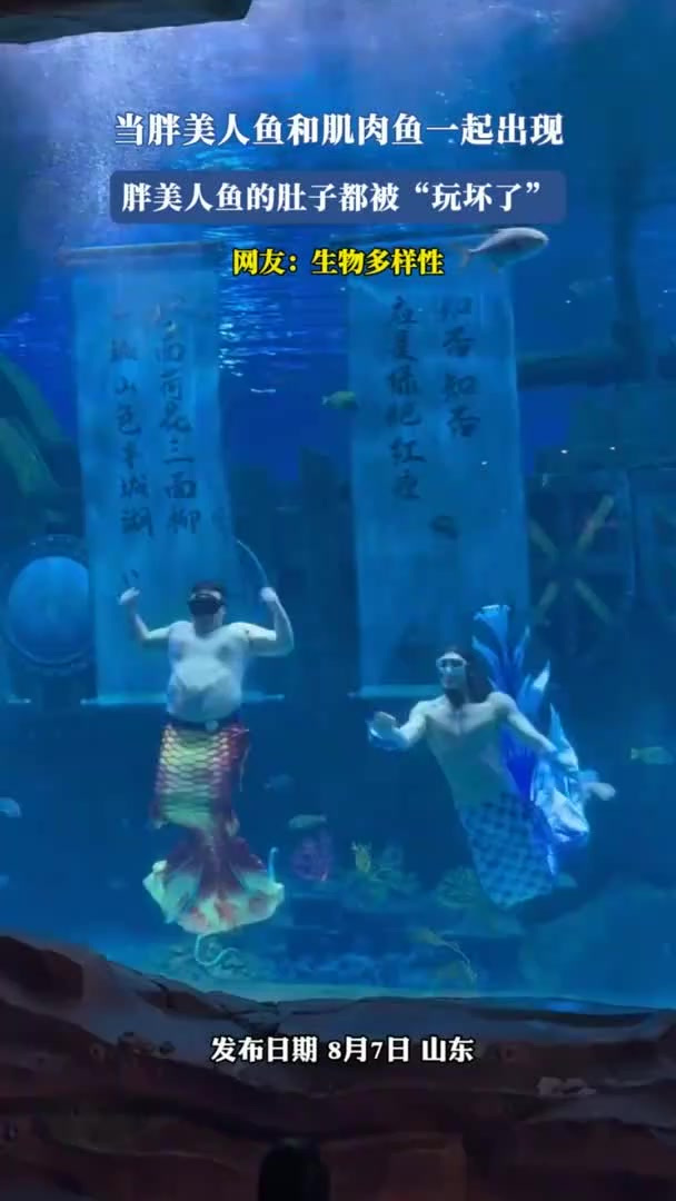 当胖美人鱼和肌肉鱼一起出现,胖美人鱼的肚子都被“玩坏了”!