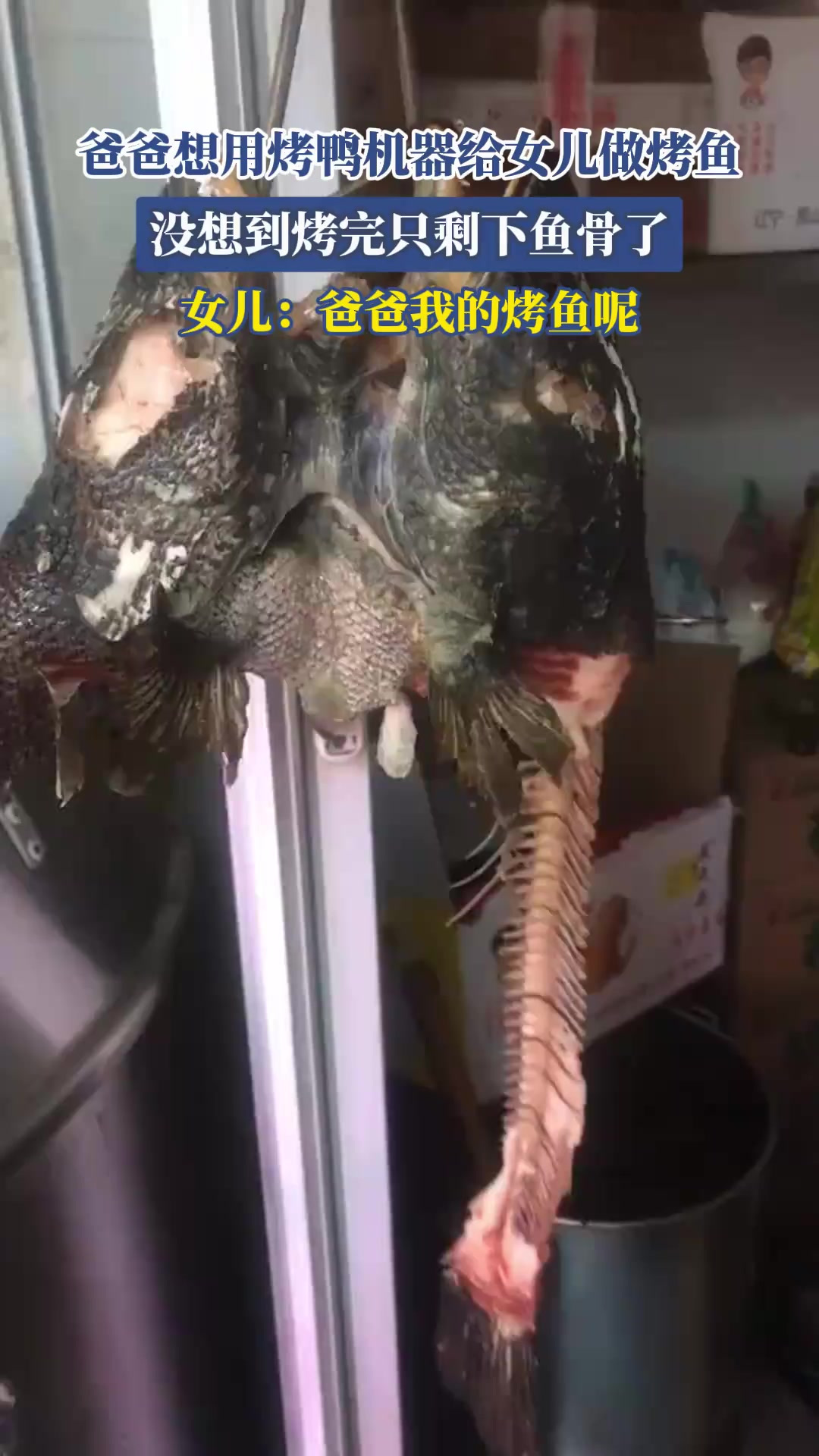 爸爸想用烤鸭机器给女儿做烤鱼,没想到烤完只剩下鱼骨了!
