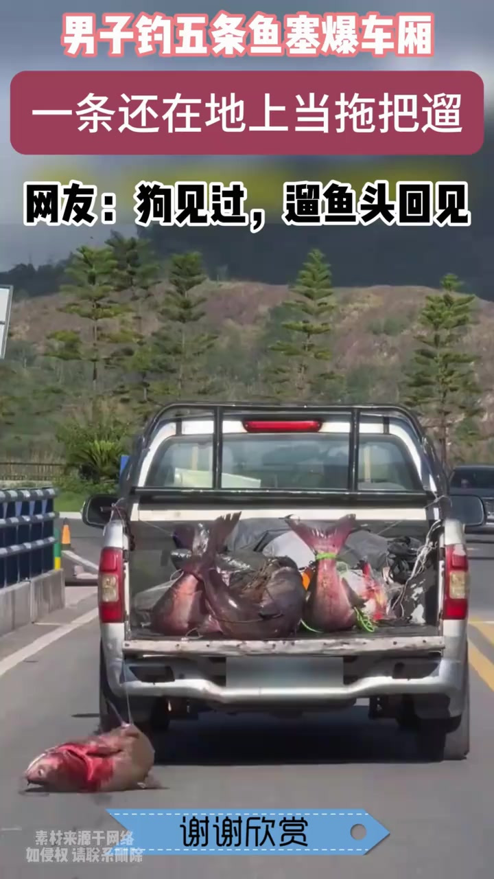 男子钓鱼五条鱼就有满满一车厢,还有一条在地下拖着!