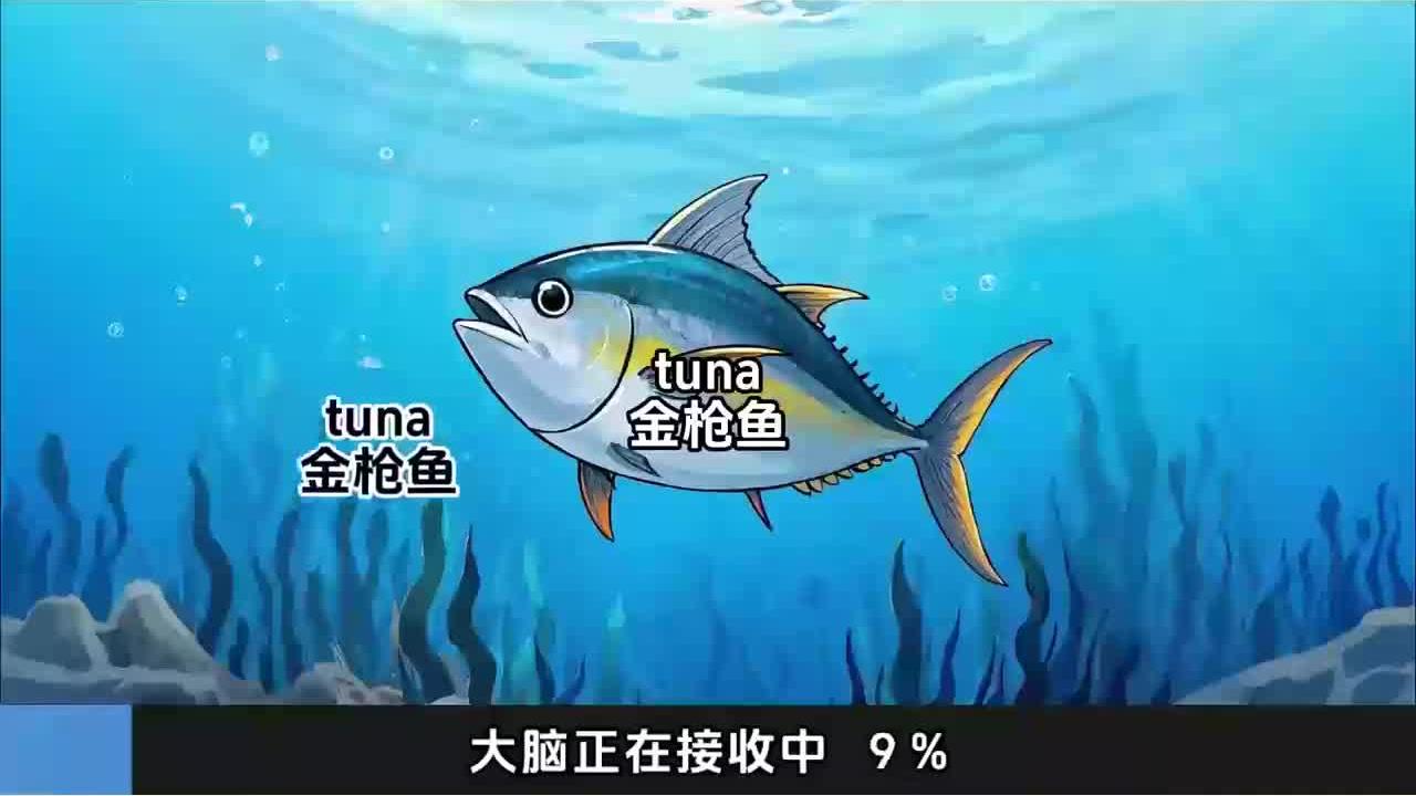 10秒钟记住一个单词 tuna 金枪鱼