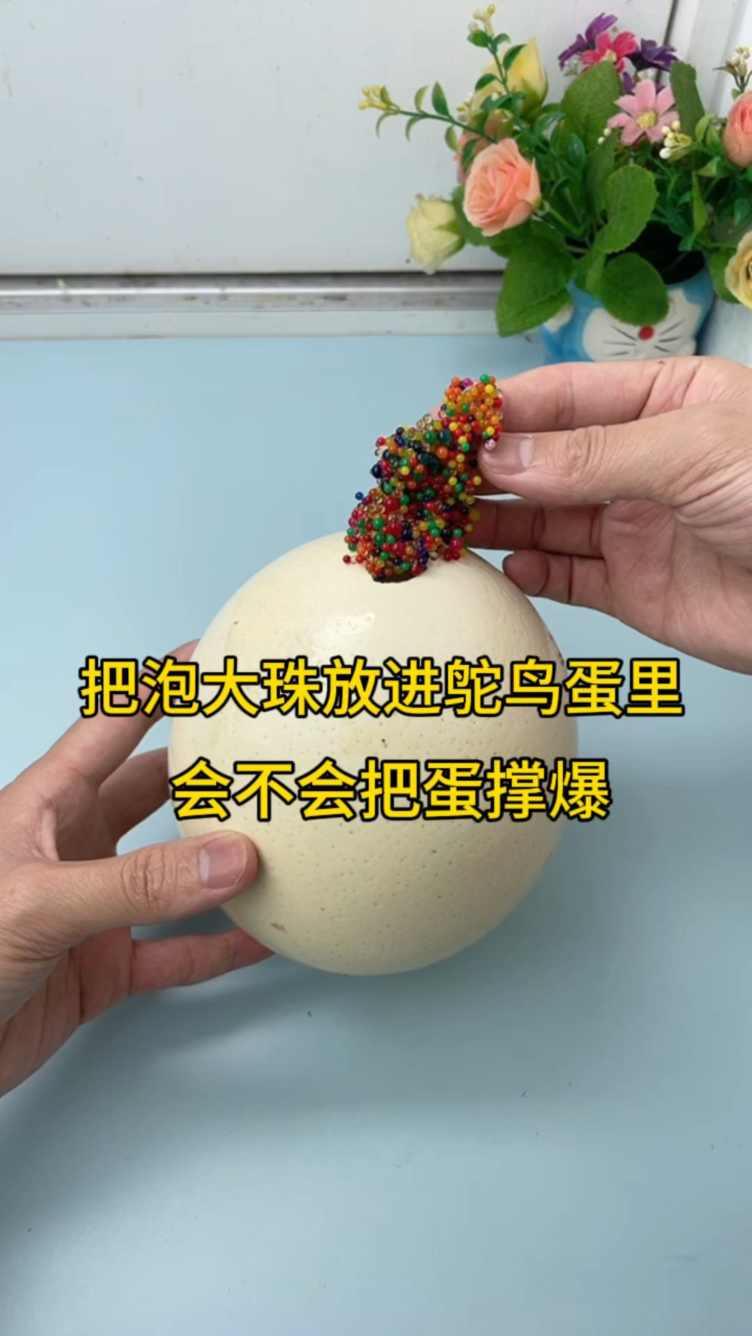 真的能把鸵鸟蛋撑破吗?