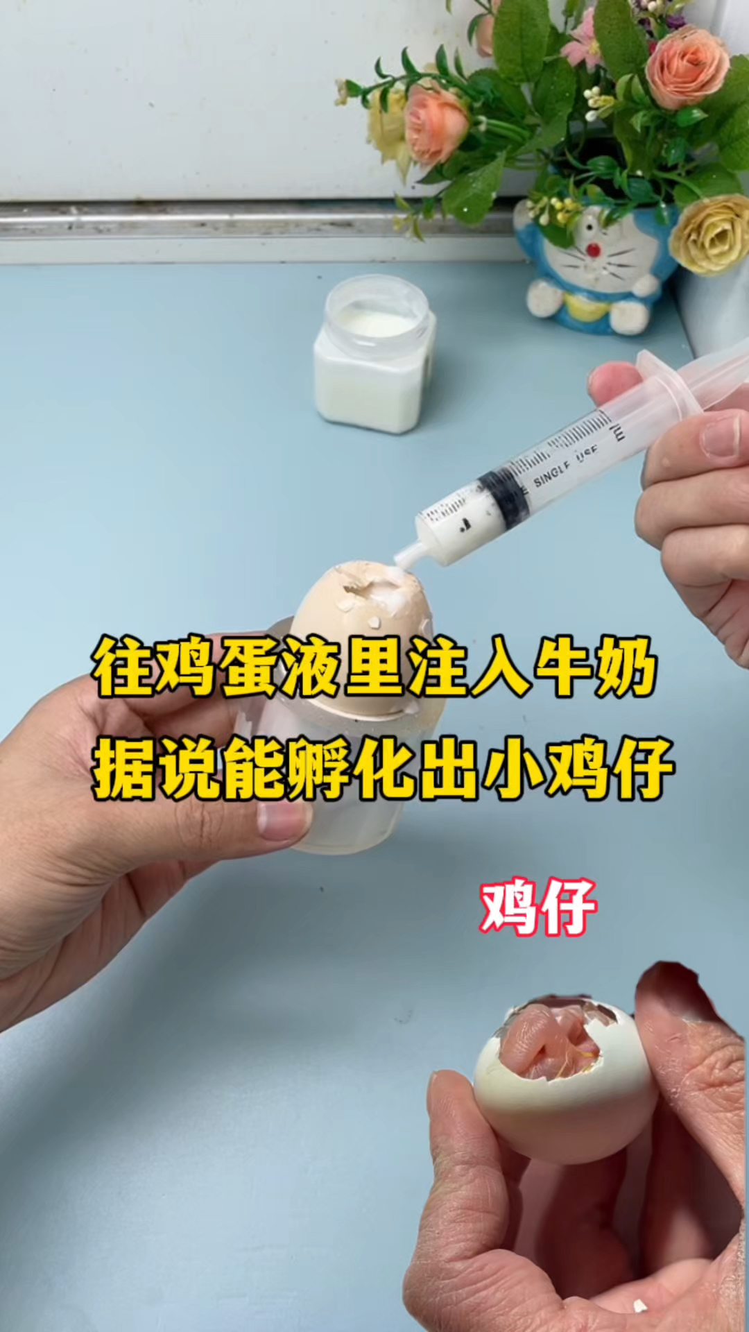 往鸡蛋液里注入牛奶据说能孵化出小鸡仔?