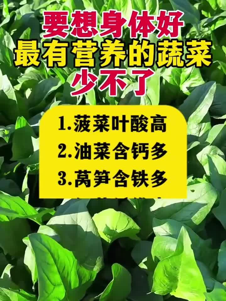 要想身体好最有营养的蔬菜少不了