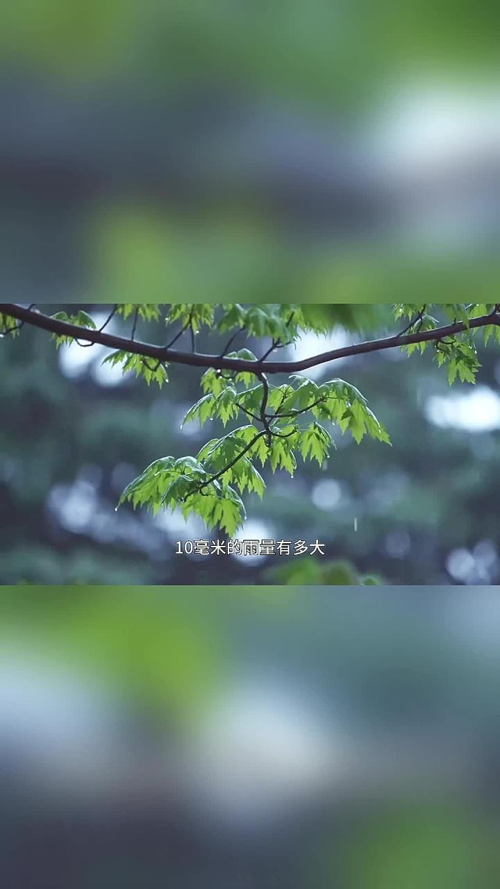10毫米的雨量有多大？假如地球连续降雨，地球会变成水球吗？