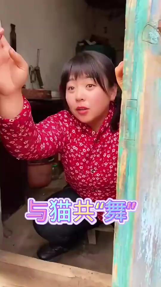爱吃鱼的小猫咪，你们稀不稀罕这只小猫