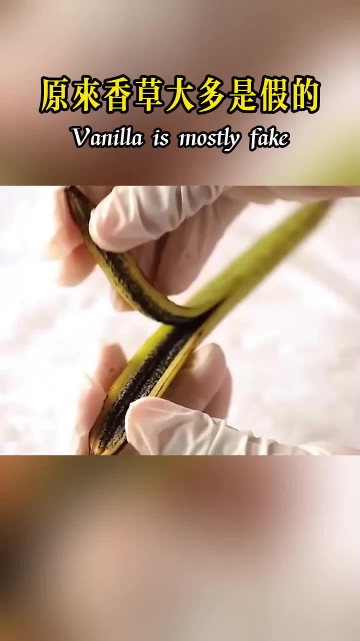 原来香草冰淇淋里的“香草”是假的！