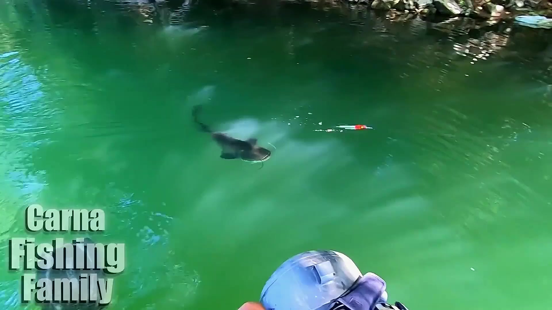 荒野垂钓:男子在河中路亚结果引来一条百斤重的欧洲巨鲶!