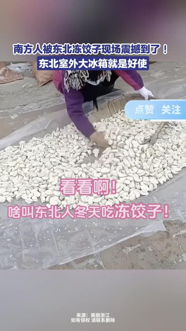 南方人被东北冻饺子现场震撼到了!东北室外大冰箱就是好使