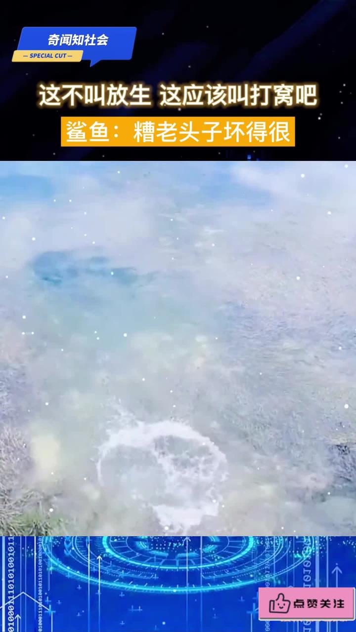 这不叫放生，这应该叫打窝吧！鲨鱼：糟老头子坏得很！