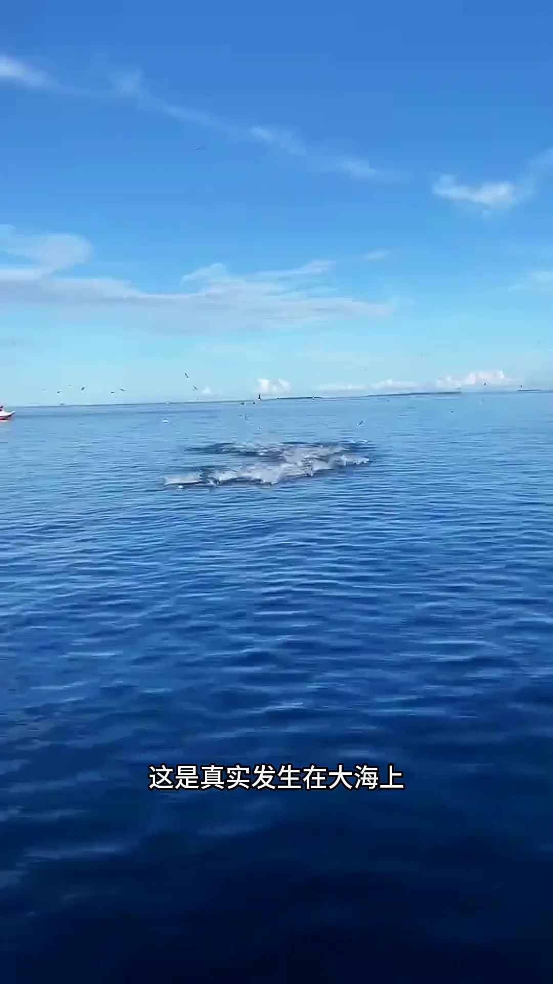 户外捕鱼:渔民在大海中发现了非常罕见的鱼群扎堆场景