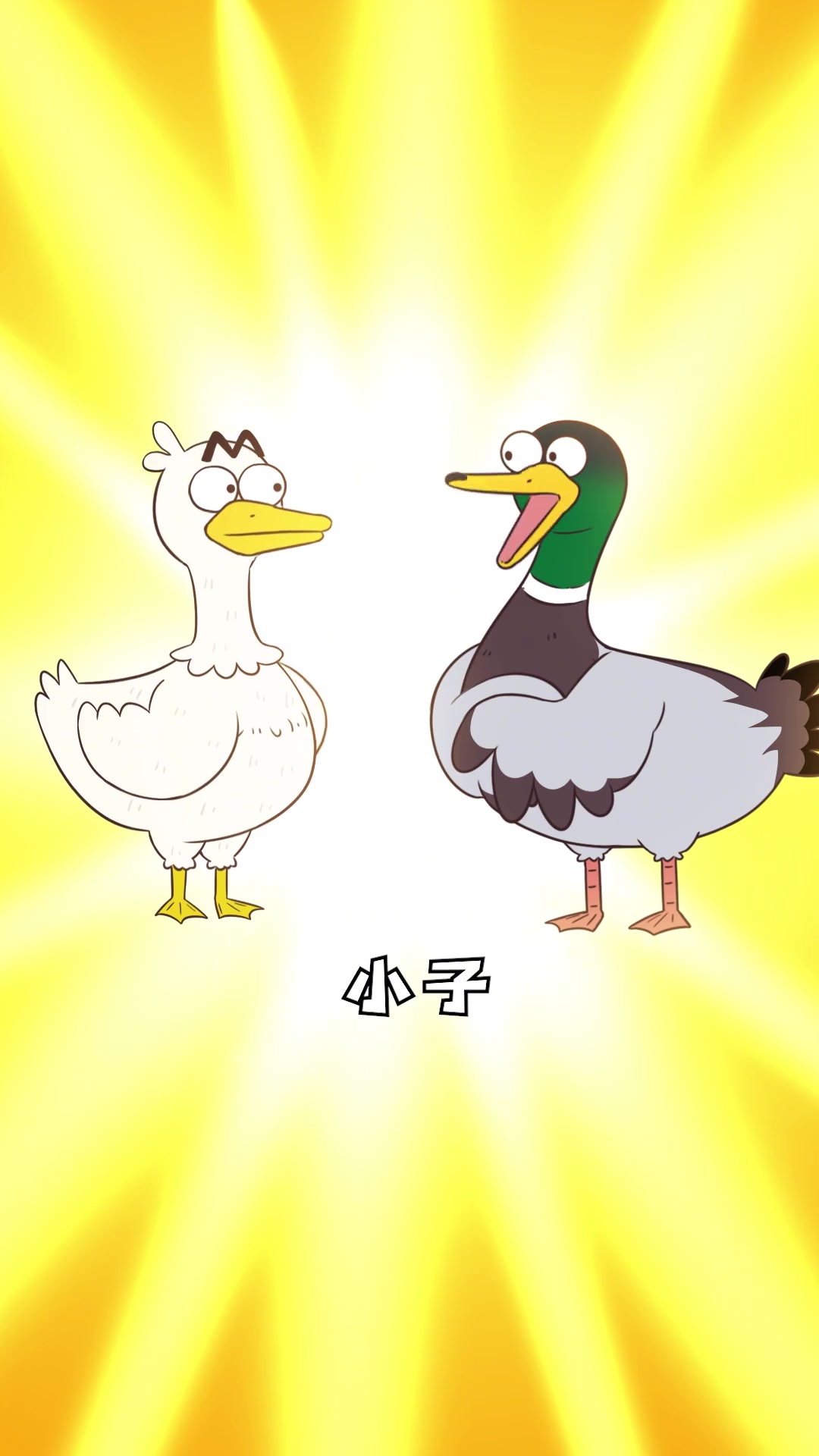 顶级“渣男”绿头鸭和锅里的鸭鸭有什么关系?