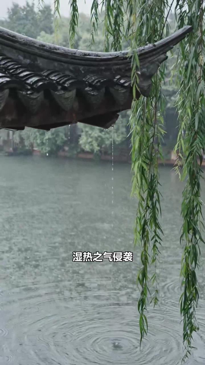 芒种梅雨闷热至,清热解暑食物备,绿豆汤酸梅汤佳