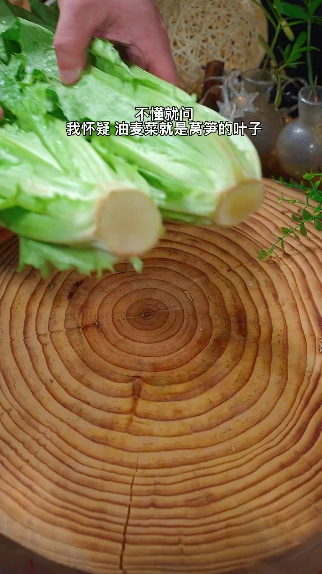 如果你想吃素菜了，那么这个蒜蓉豆豉油麦菜肯定是首选，做法简单
