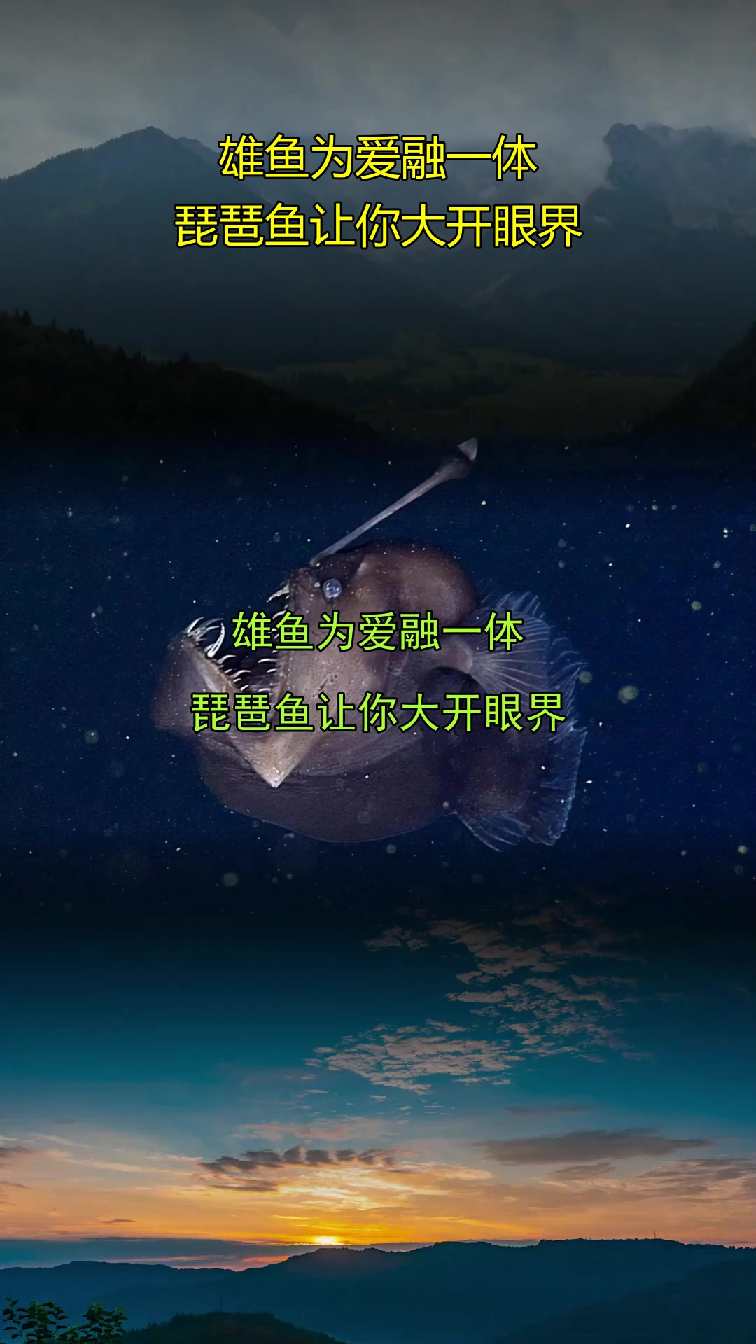 雄鱼为爱融一体,琵琶鱼让你大开眼界