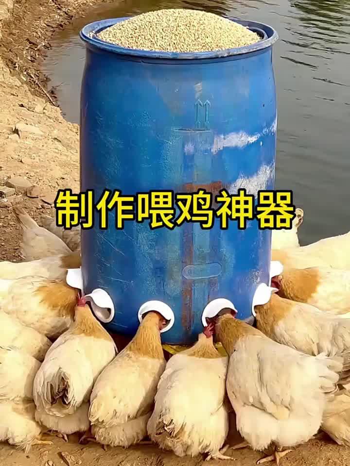 大哥制作的喂鸡神器也太实用了