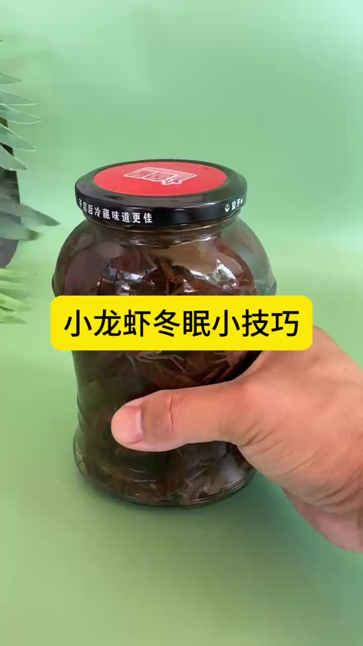 小龙虾冬眠小技巧