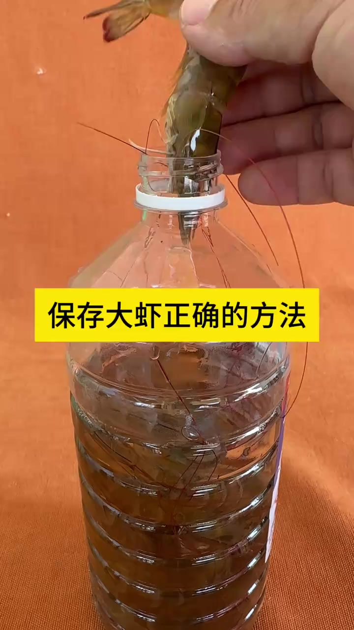 保存大虾正确的方法