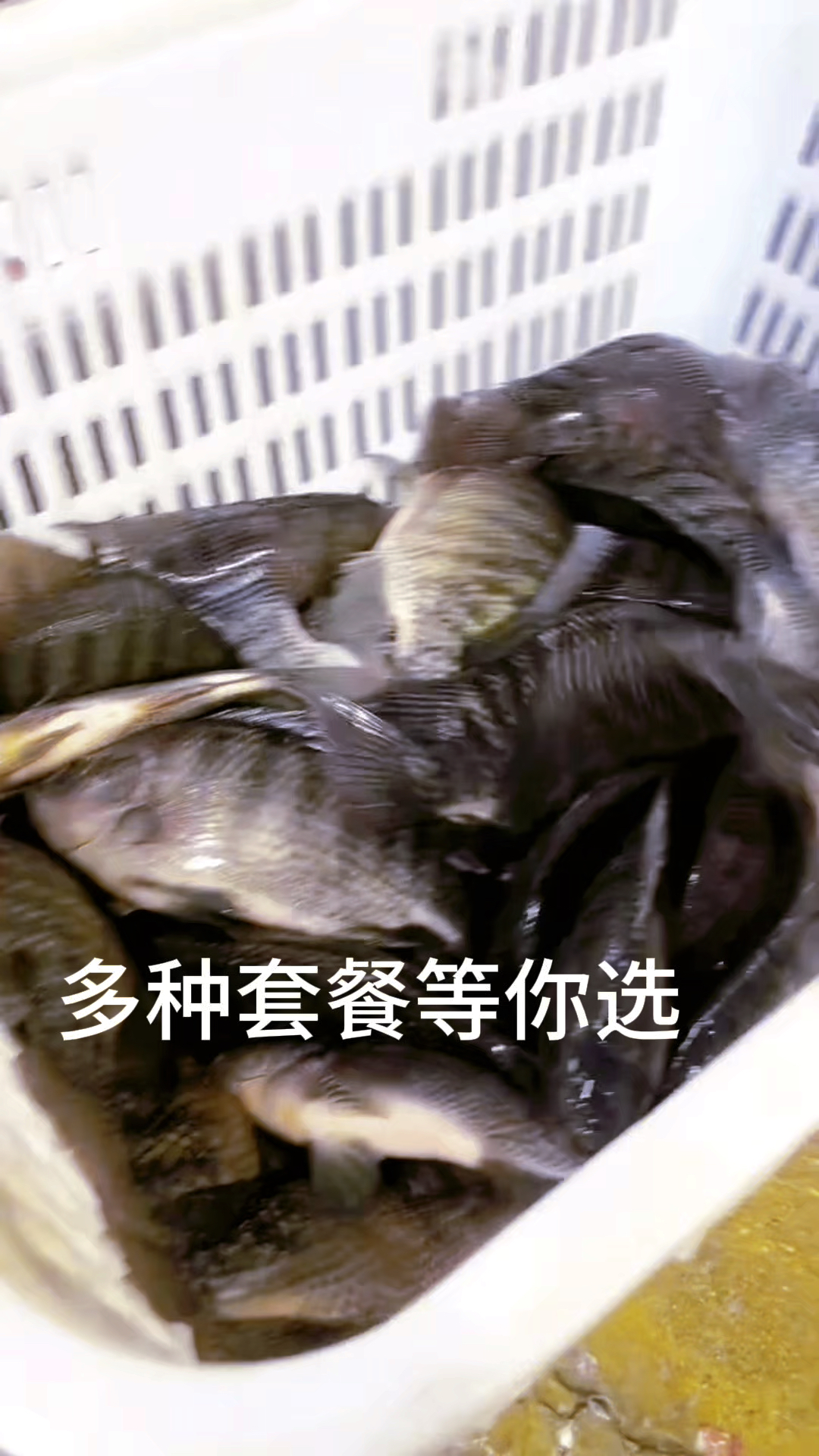 烤鱼撒撇套餐