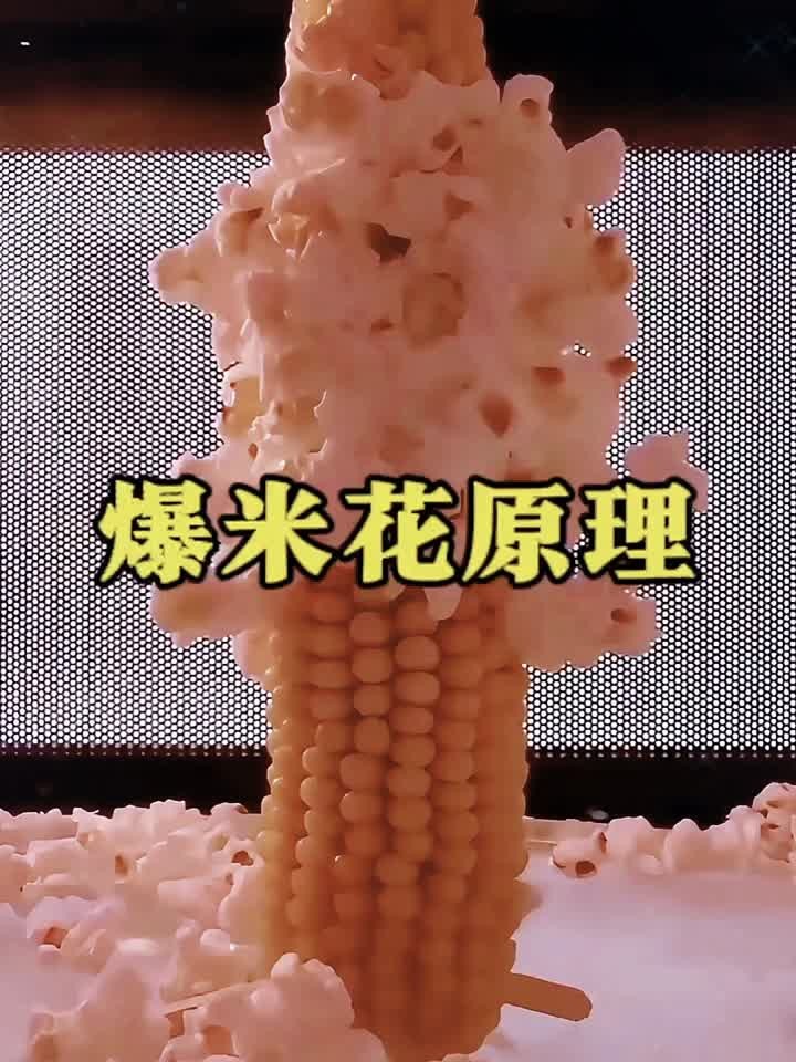 揭秘玉米变爆米花的原理