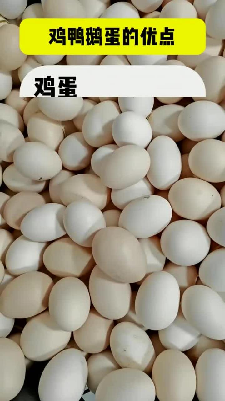 鸡鸭鹅蛋的优点是啥