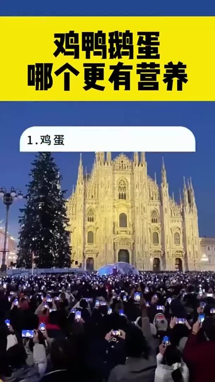 鸡鸭鹅蛋哪个更有营养