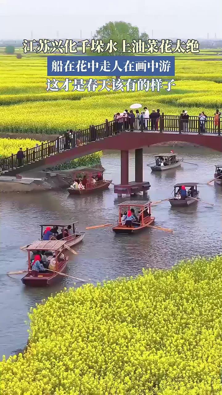 江苏兴化千垛水上早春油菜花太绝,船在花中走人在画中游,这才是春天该有的样子!