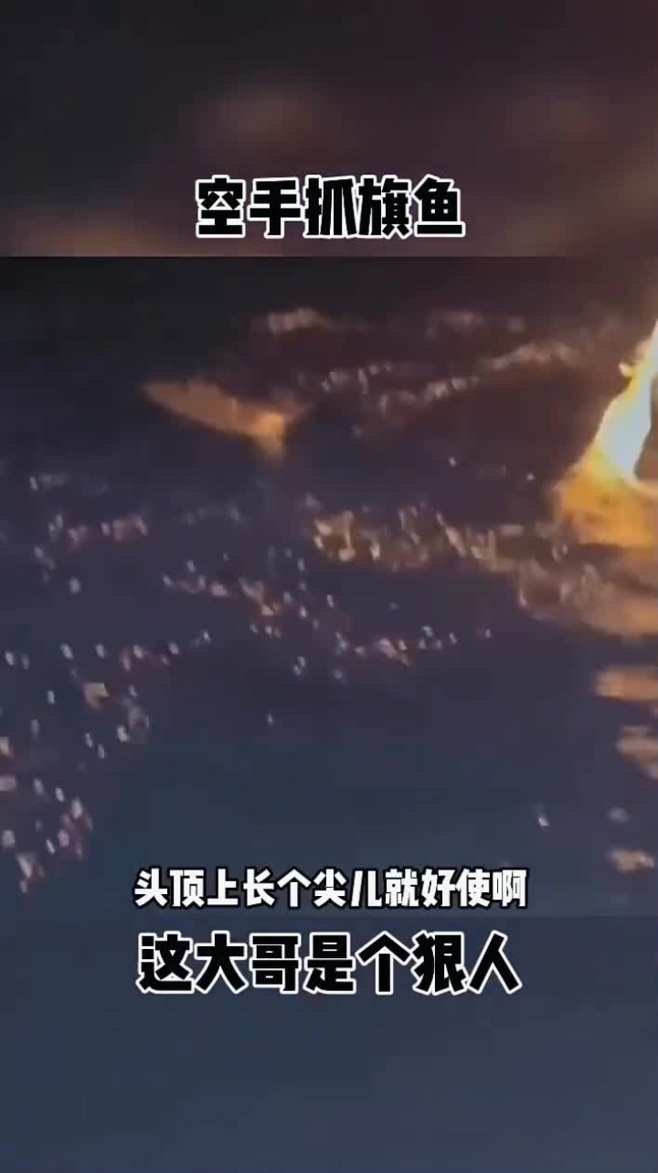 赤手空拳抓旗鱼的勇敢场面令人震惊 视频搞笑配音精彩不断赤手空拳挑战海洋奇迹精彩瞬