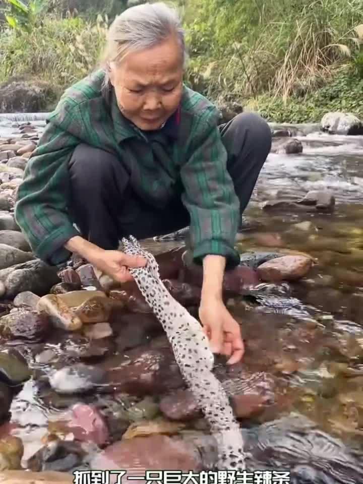 大妈做了一道红烧鳗鱼,非常下饭