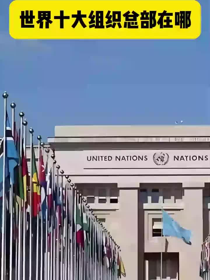 世界十大组织总部在哪