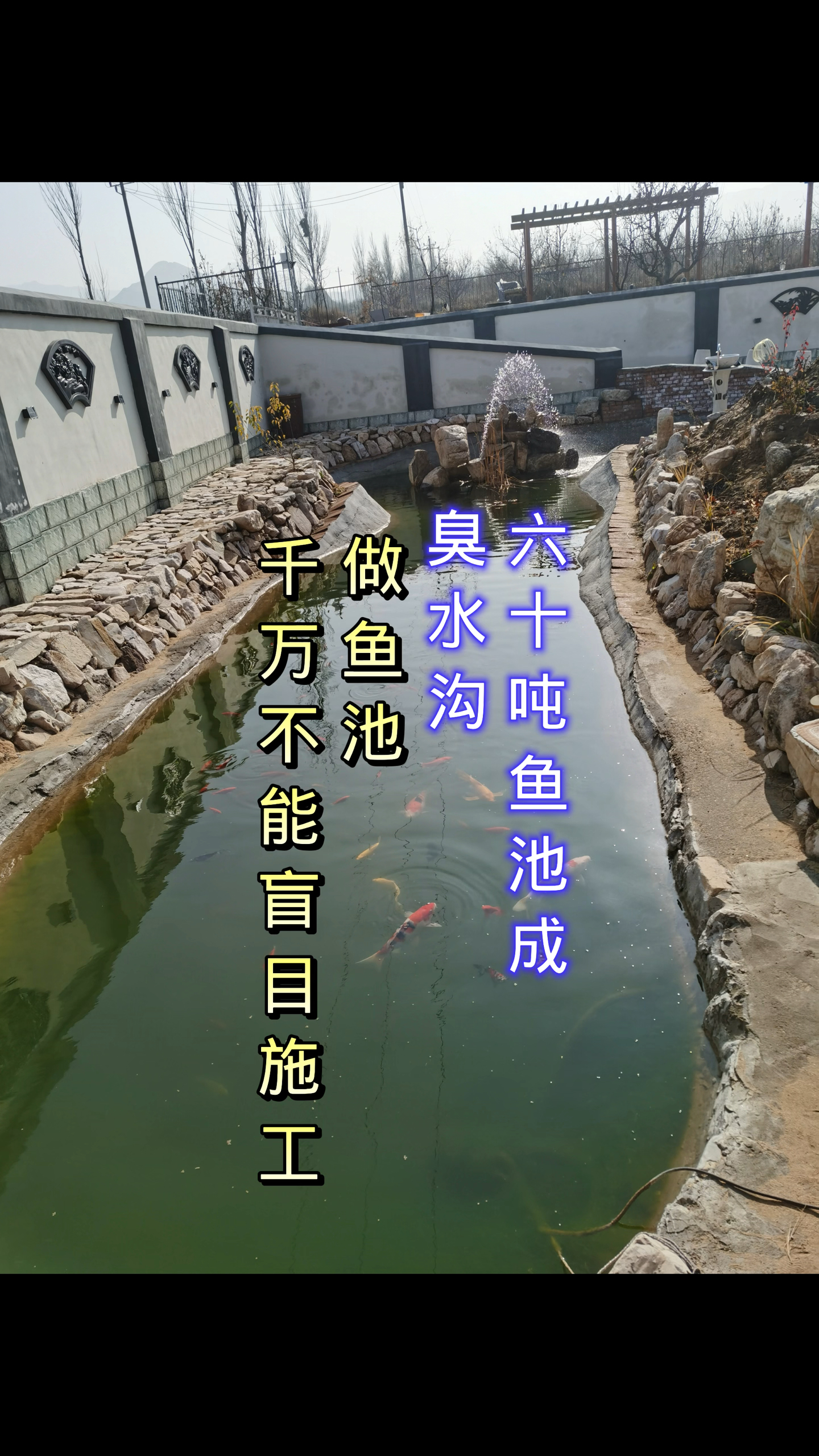 60吨鱼池变成臭水沟,做锦鲤鱼池必须规划设计好过滤系统